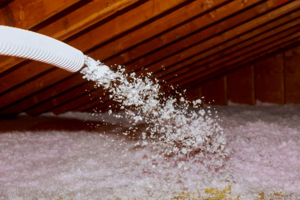 Best Fiberglass Insulation in Pitola, CA