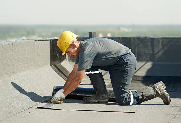 Best Cellulose Insulation in Pitola, CA